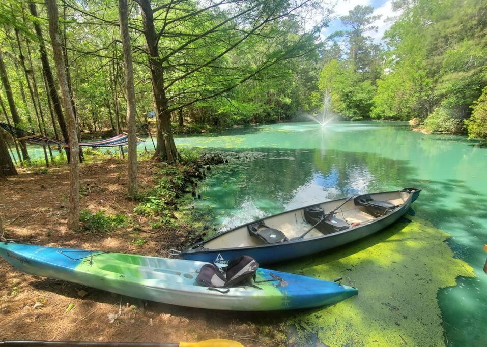 Waterfront Treehouse In A Magical Forest Waller Екстериор снимка