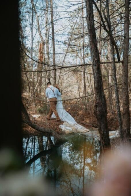 Waterfront Treehouse In A Magical Forest Waller Екстериор снимка